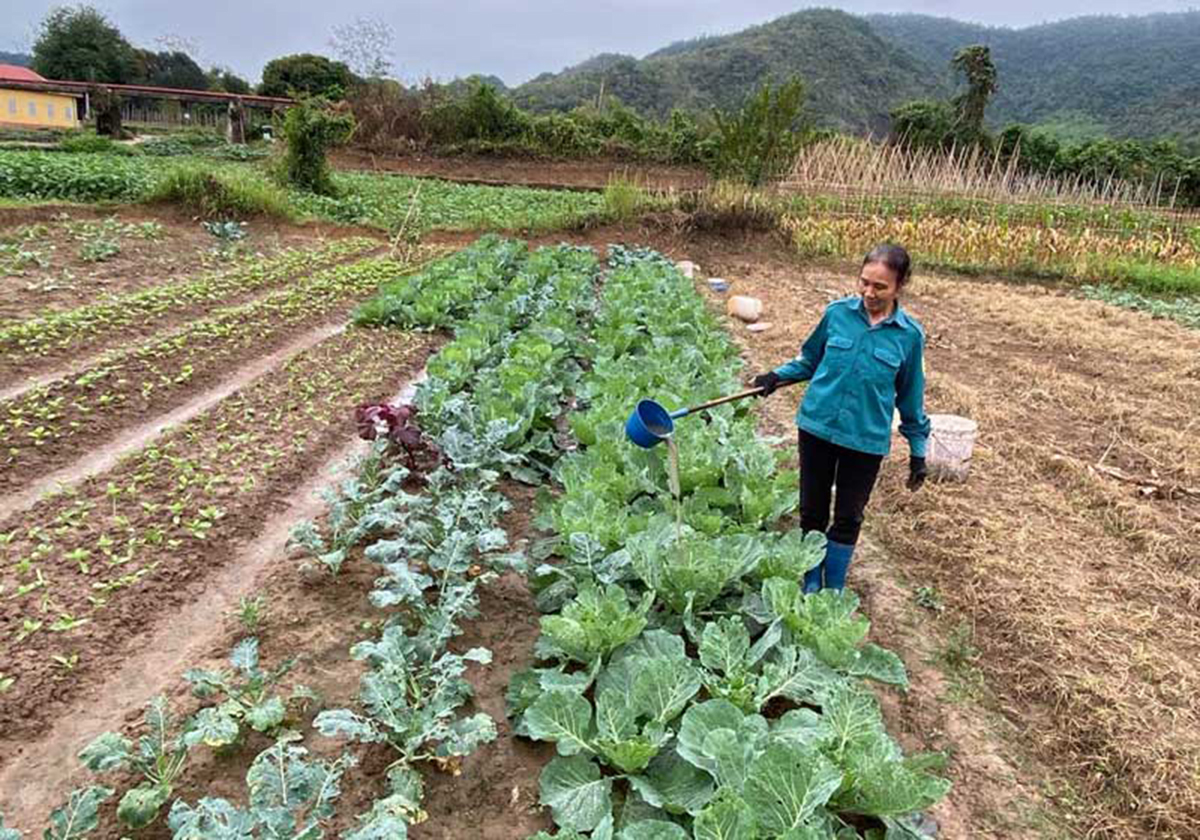 Mai Châu sẽ tiếp tục thúc đẩy giảm nghèo nhanh bằng các mô hình nông nghiệp sạch.