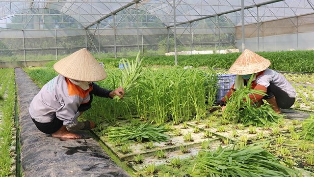 Xây dựng NTM bền vững gắn với đô thị hóa nhằm nâng cao điều kiện sống của người dân nông thôn gần với điều kiện sống của người dân đô thị.