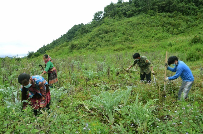 Nhiều mô hình phát triển kinh tế, giảm nghèo được thực hiện ở vùng khó khăn, trong đó có địa bàn giáp biên giới.