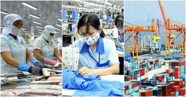 Cổ phiếu liên quan xuất khẩu, đặc biệt là bộ đôi thủy sản - dệt may nổi sóng.