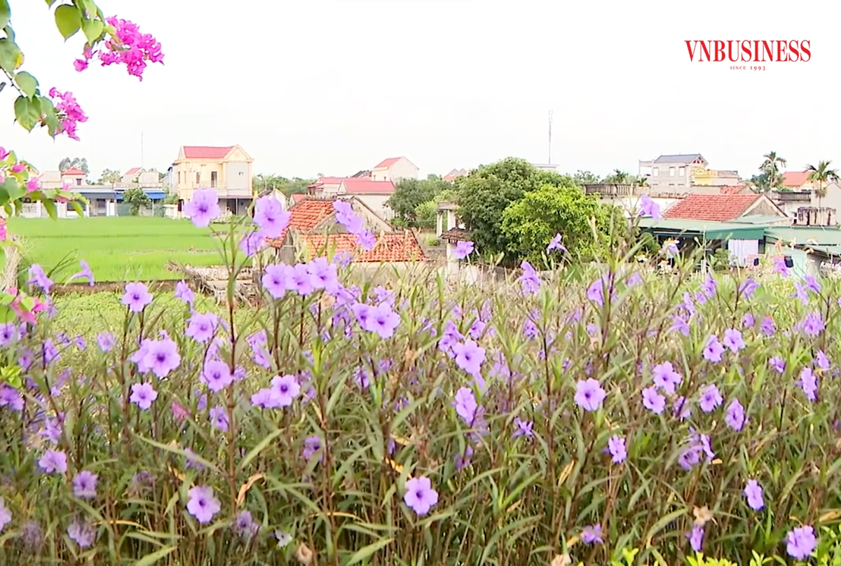 Nông thôn mới huyện Yên Khánh đang ngày càng thay da, đổi thịt.