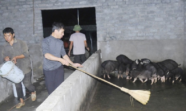 Vai trò của các HTX là đặc biệt quan trọng trong việc thay đổi nếp nghĩ, cách làm của người dân vùng cao của huyện Mèo Vạc.