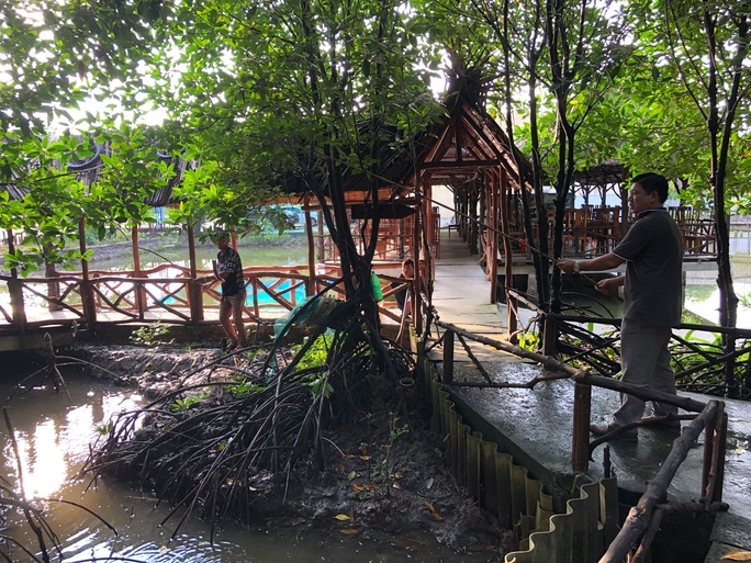 Trải nghiệm câu cá trong homestay ở Đất Mũi.