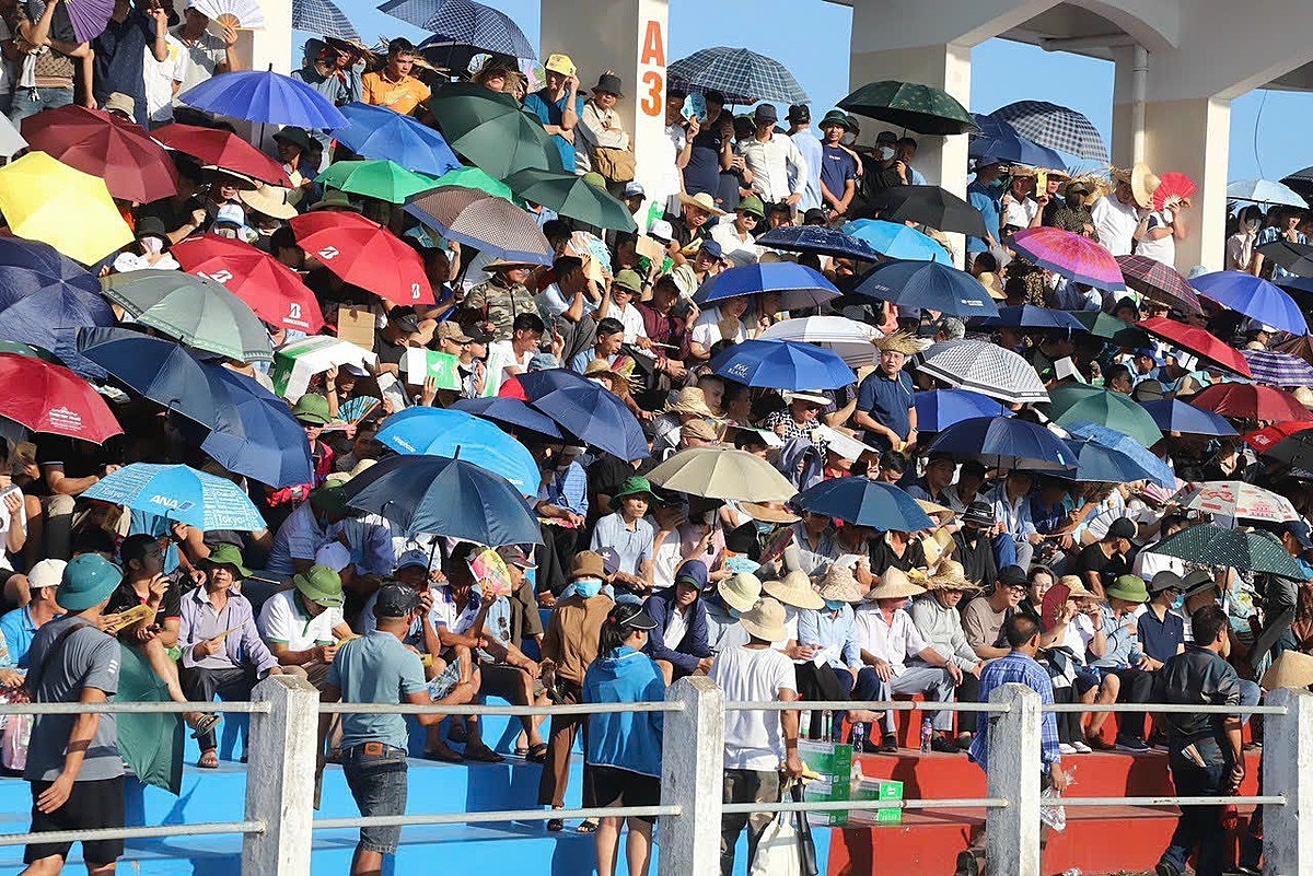Bất chấp nắng nóng, du khách vẫn hồi hộp, phấn khởi ngồi theo dõi các kháp đấu.