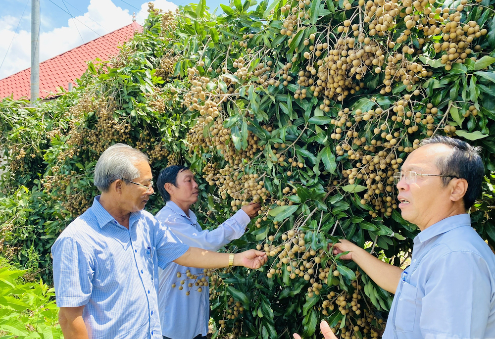 Nhiều mô hình HTX làm ăn có hiệu quả, giúp xoá đói giảm nghèo cho bà con tại địa phương.