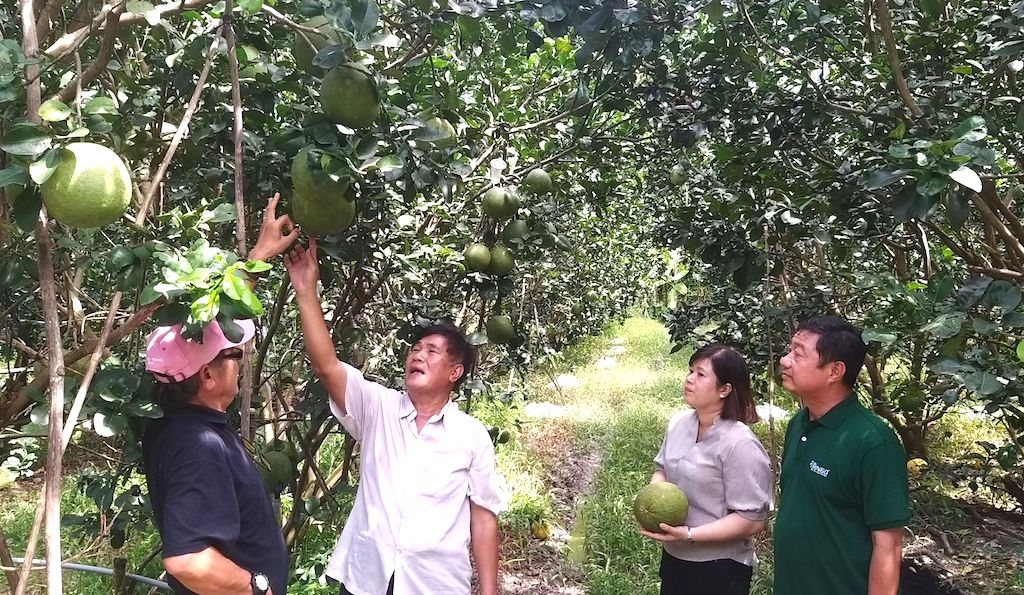 Mô hình của HTX trồng, thu mua nông sản Khánh Thành là động lực, tạo sức lan tỏa để người dân địa phương học tập phát triển kinh tế.
