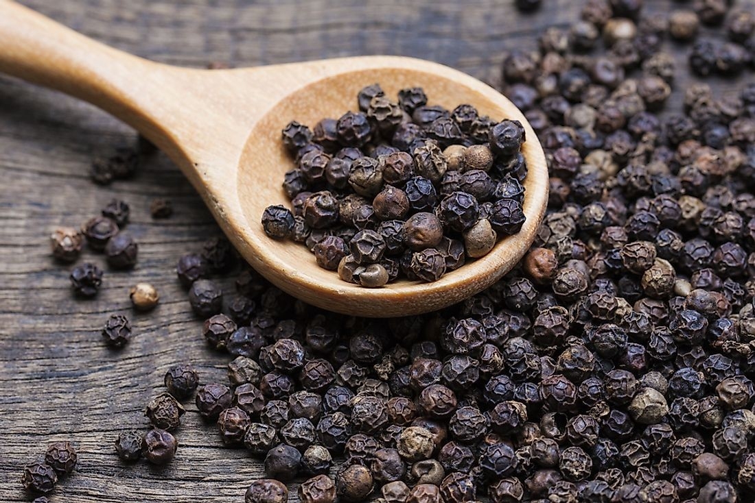 Giá tiêu chỉ tăng 500 đồng/kg tại Bà Rịa - Vũng Tàu.
