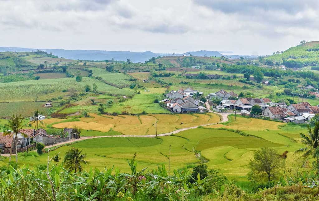 Để Tuy An về đích huyện nông thôn mới thì một trong những nhân tố quan trọng chính là hoạt động hiệu quả của kinh tế hợp tác tại các xã nông thôn mới.