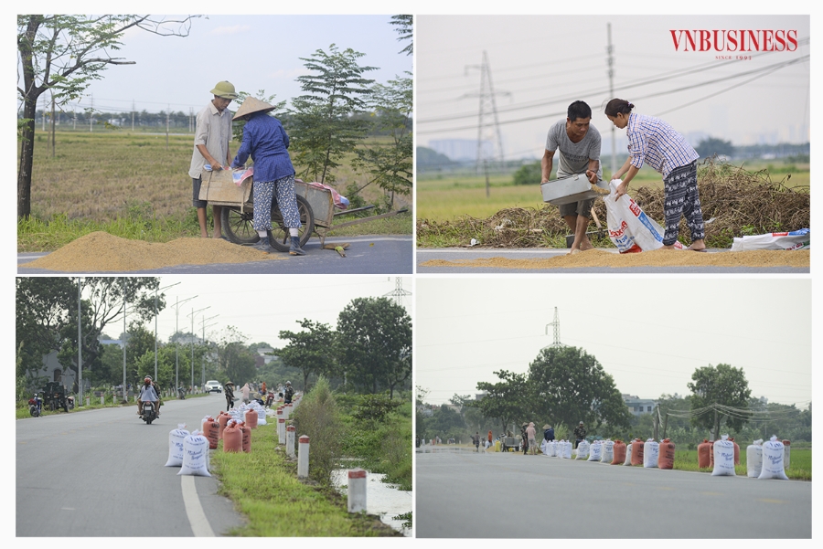 Việc phơi thóc trên đường tiềm ẩn nhiều nguy cơ rủi ro mất an toàn giao thông, tuy nhiên thực tế cho thấy tốc độ đô thị hóa ở các khu vực nông thôn ngoại thành Hà Nội ngày càng gia tăng, diện tích sân phơi ngày càng thu hẹp lại, nên việc phơi thóc trên đường vẫn là giải pháp được nhiều người dân nơi đây lựa chọn.