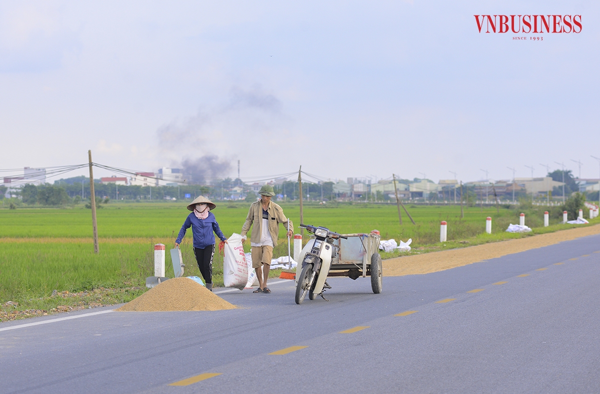 “Do sân nhà chật quá, không có chỗ để phơi! Biết là không an toàn, nhưng nếu thấy có xe đến thì mình chỉ cần né né đi là được, anh Khoa, một người dân tại xã Tam Hưng chia sẻ.