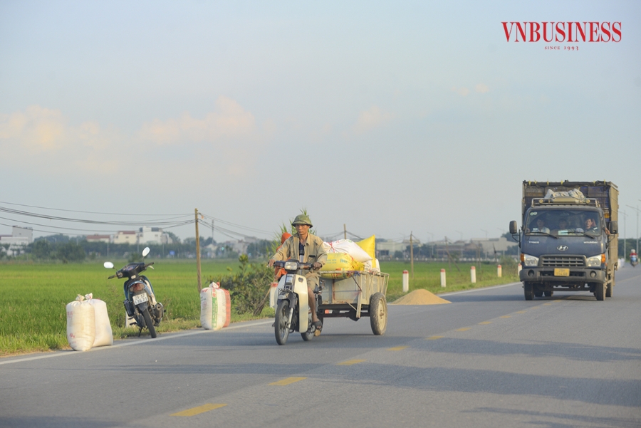 Phần lớn số lượng lúa được người dân tiến hành phơi khô, sau đó bán trực tiếp cho HTX Nông nghiệp Tam Hưng, với giá bán dao động từ 13.000 – 14.000 đồng/kg &lpar;thóc khô&rpar;, 7.500 – 8.000 đồng/kg &lpar;thóc tươi&rpar;. Phạm Hòa &lpar;thực hiện&rpar;