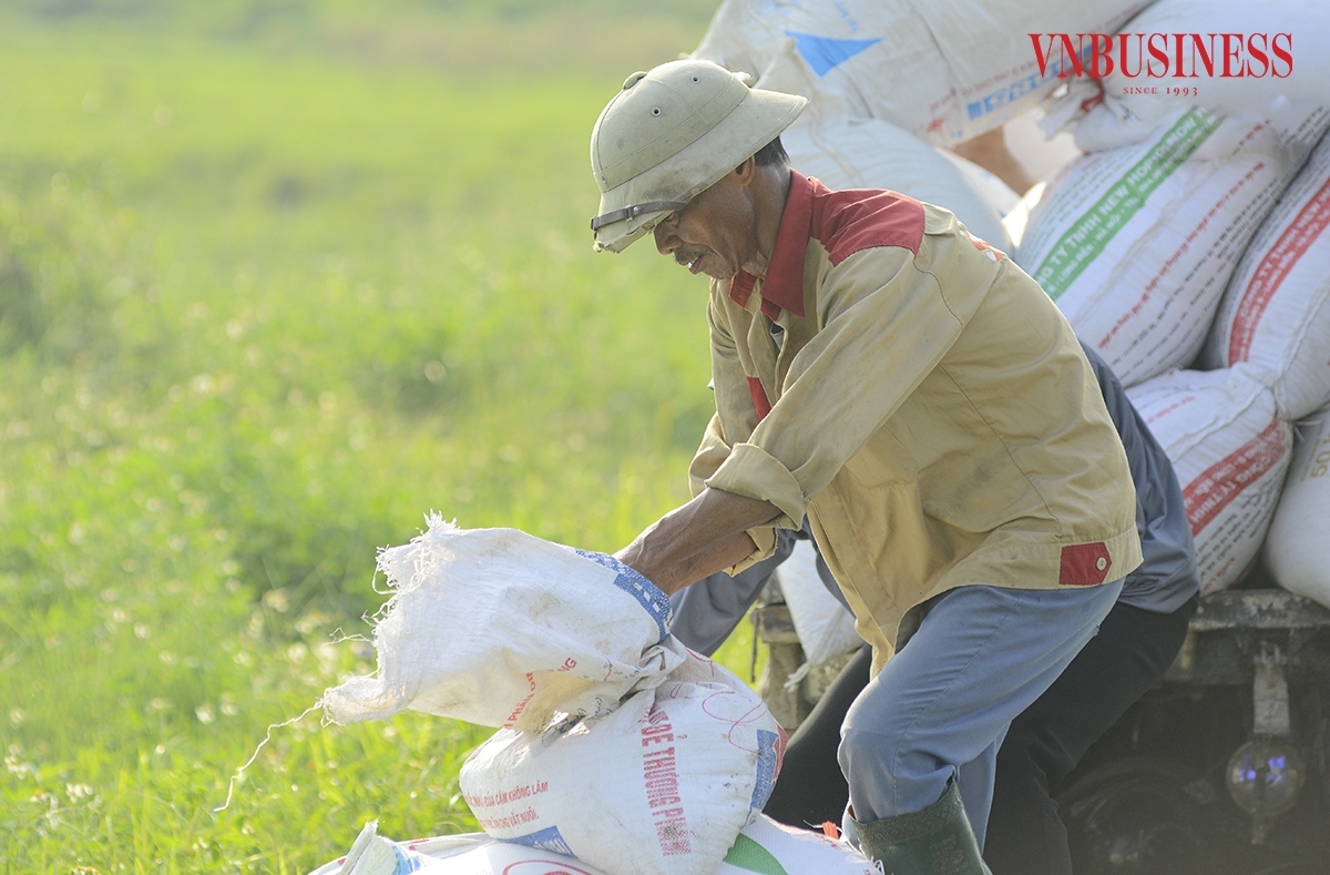Mặc dù nắng nóng vất vả nhưng ông Lê Văn Đoàn &lpar;51 tuổi, người dân xã Tam Hưng&rpar; lại cảm thấy vui vẻ, phấn khởi vì đươc mùa, thu nhập ngày càng trở nên ổn định.