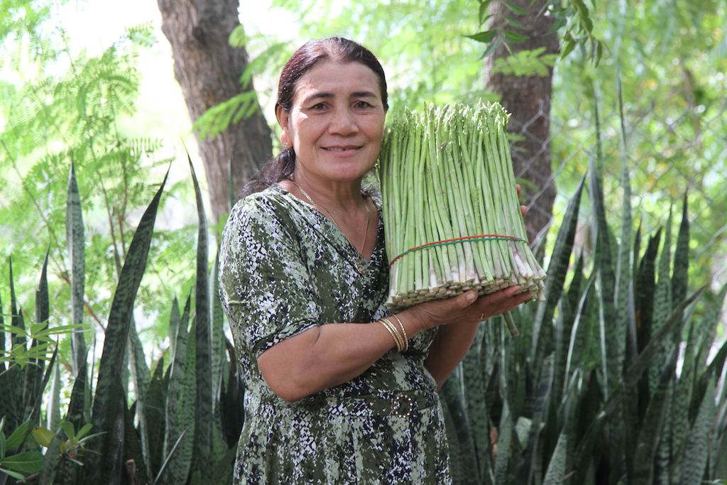 Chuỗi liên kết trồng măng tây xanh của HTX giúp phụ nữ dân tộc Chăm ở Ninh Phước có đời sống khấm khá.