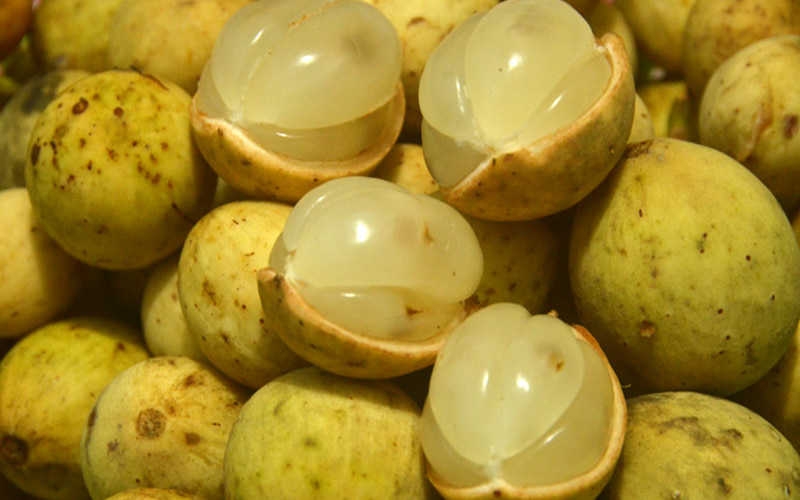 Bòn bon không phải là mặt hàng xuất khẩu chủ lực nhưng chỉ 10kg vi phạm ở thị trường Iceland cũng có thể ảnh hưởng tới uy tín của cả ngành nông sản Việt Nam.