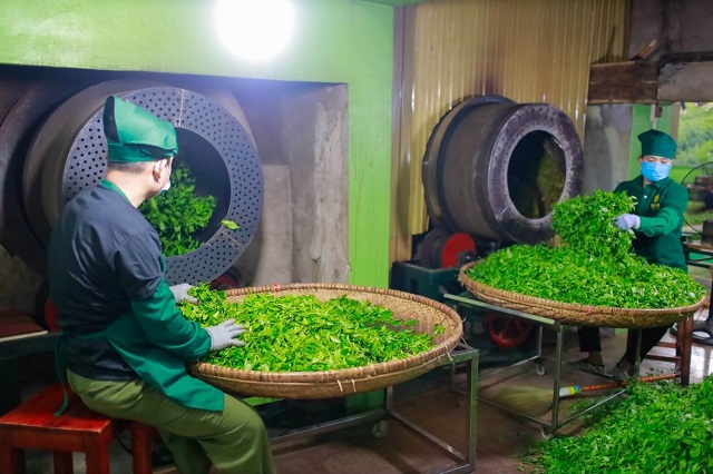 Nhiều HTX đã từng bước thực hiện liên kết sản xuất theo chuỗi giá trị, bước đầu mang lại kết quả khả quan.