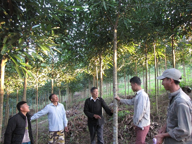 Các HTX ở các xã vùng khó ở Như Thanh đã và đang góp phần tích cực vào tiêu chí tổ chức sản xuất trong xây dựng NTM ở địa phương.