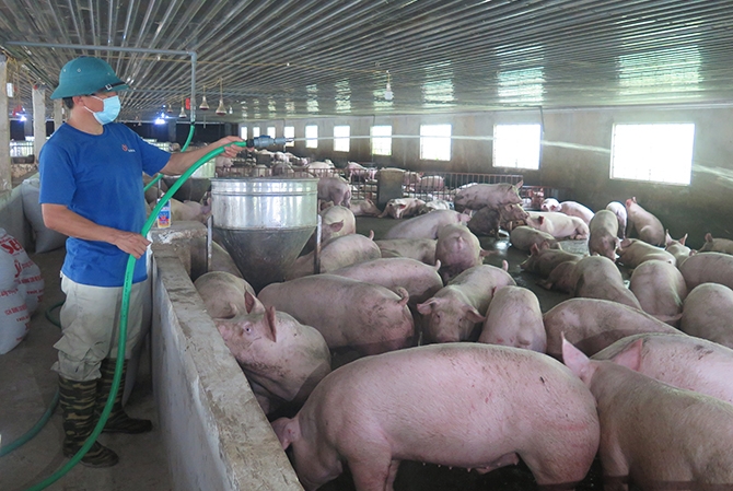 Đánh cược với 'ông Giời' vì khó tiếp cận bảo hiểm nông nghiệp