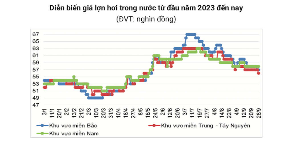 Giá heo hơi trên cả nước giảm trong tháng 9 là do tình hình dịch tả heo châu Phi xuất hiện khiến người dân bán lượng lớn heo ra thị trường.