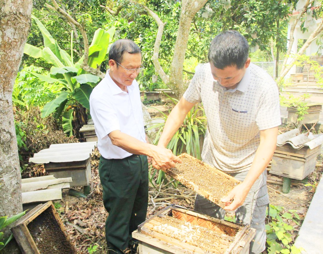 Nuôi ong lấy mật đang giúp không ít hộ gia đình ở Sơn Động giảm nghèo, có cuộc sống khá giả.