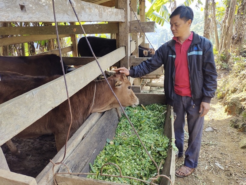 Hỗ trợ người dân phát triển kinh tế từ nguồn vốn giảm nghèo đang mang lại hiệu quả tích cực cho Pắc Nặm.
