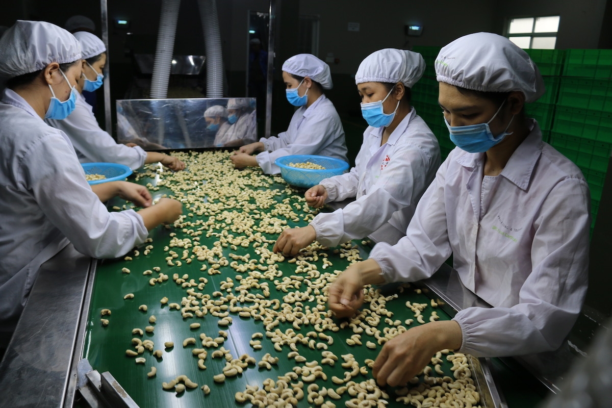 Tính chung 9 tháng đầu năm 2023, xuất khẩu hạt điều của nước ta ước đạt 456 nghìn tấn, trị giá 2,6 tỷ USD, tăng 19,6% về lượng và tăng 14,3% về trị giá so với cùng kỳ năm ngoái.