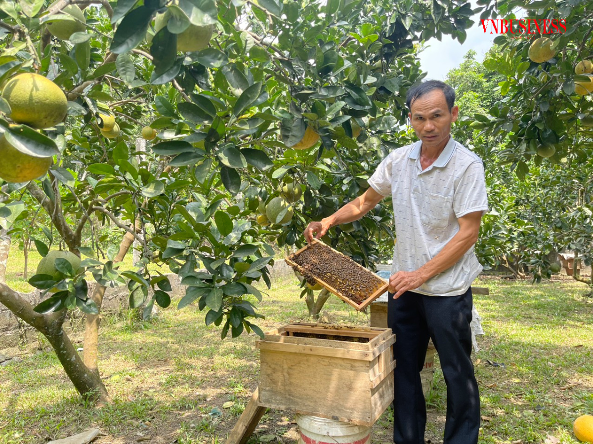 HTX Đại Lợi có quy mô nuôi 700 đàn ong, mang lại thu nhập đáng kể cho các thành viên, góp phần vào công tác giảm nghèo ở địa phương.