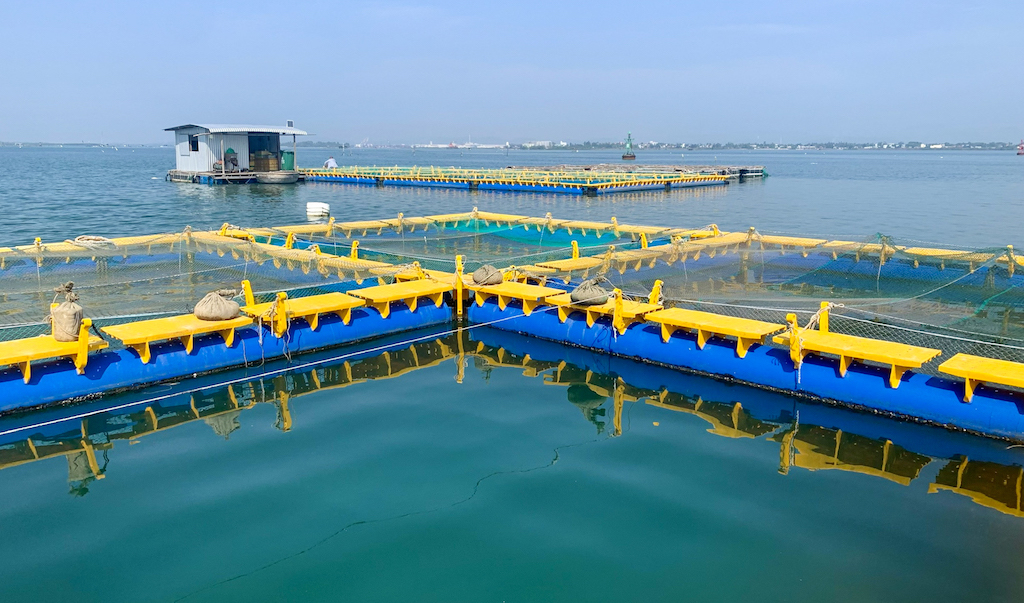 HTX nuôi trồng thủy sản - du lịch Vân Phong ở thị trấn Vạn Giã &lpar;huyện Vạn Ninh&rpar; đang áp dụng công nghệ lồng nhựa HDPE trong nuôi trồng thủy sản trên biển.