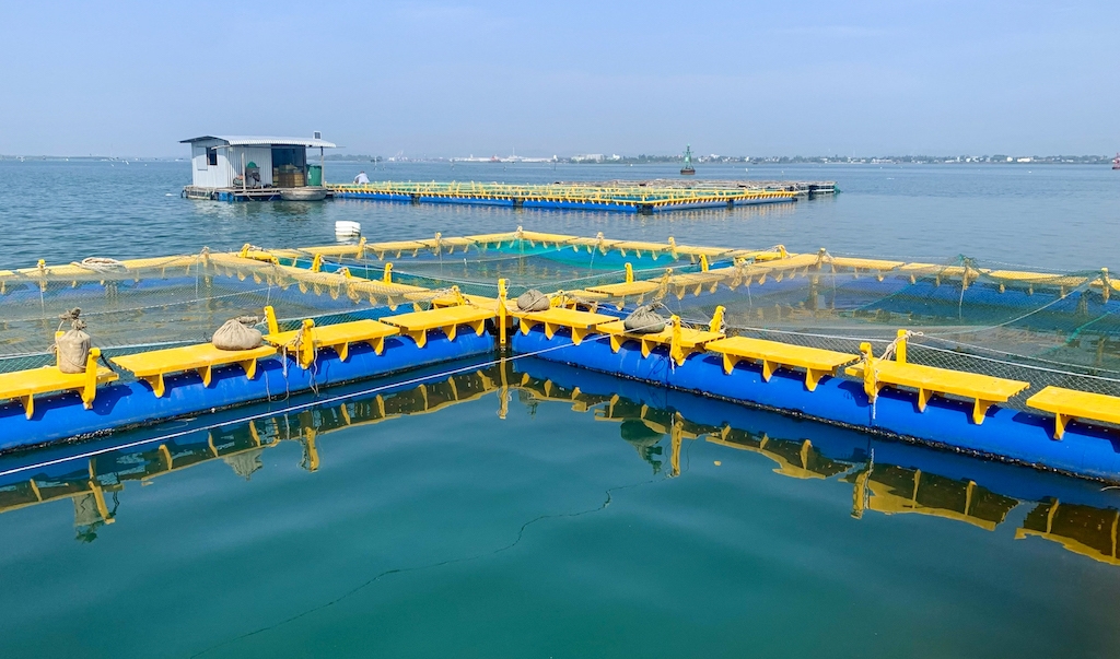 HTX nuôi trồng thủy sản - du lịch Vân Phong ở thị trấn Vạn Giã &lpar;huyện Vạn Ninh&rpar; đang áp dụng công nghệ lồng nhựa HDPE trong nuôi trồng thủy sản trên biển.