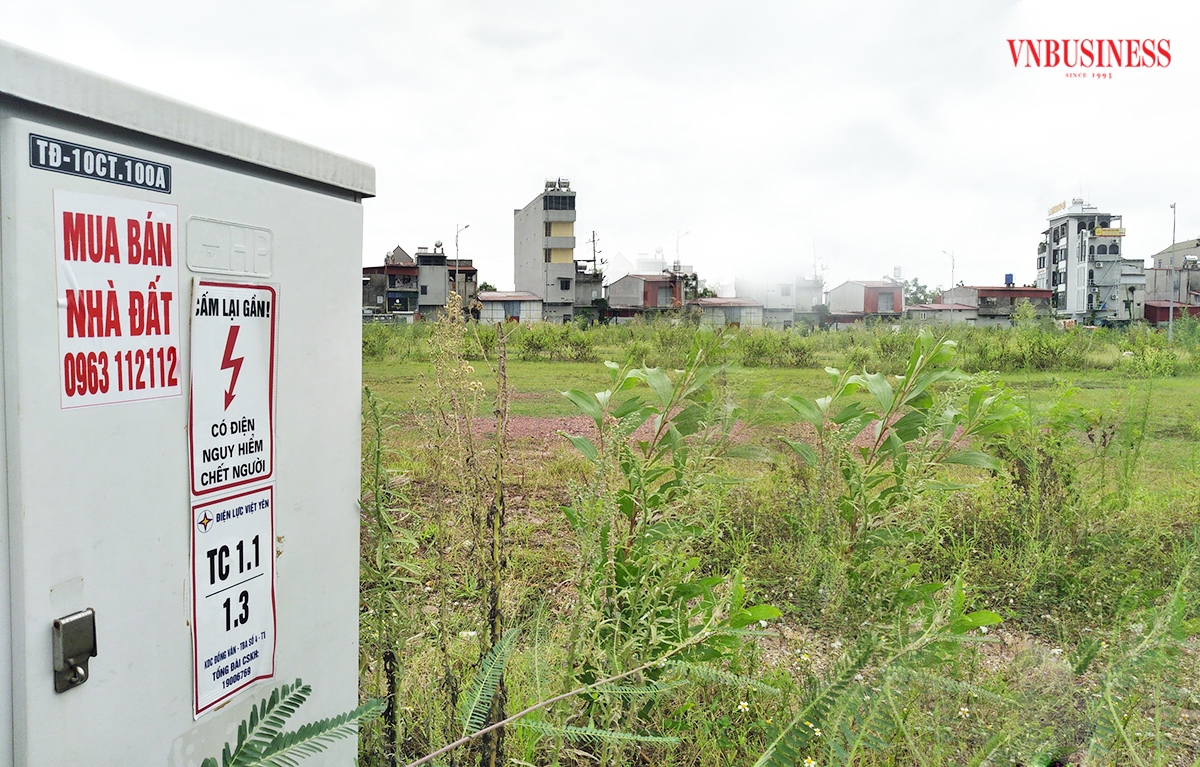 Đất nền vẫn được đánh giá là một trong những phân khúc tiềm năng nhất cho nhà đầu tư.