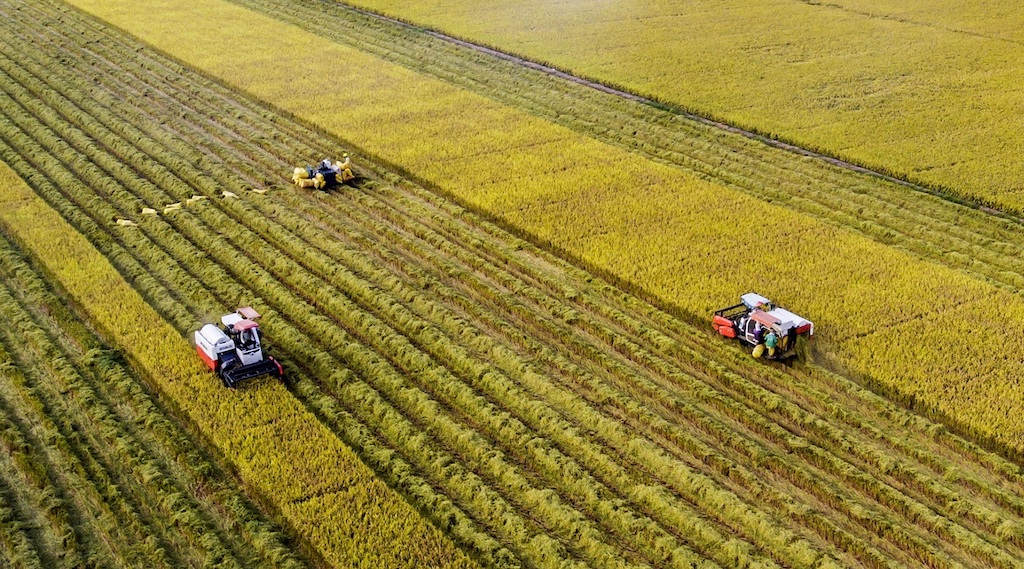 Từ sự chuyển mình của cây lúa với dấu ấn của kinh tế hợp tác đã giúp chương trình xây dựng nông thôn mới ở huyện Long Phú có sự chuyển biến mạnh mẽ.