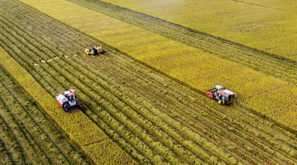 Từ sự chuyển mình của cây lúa với dấu ấn của kinh tế hợp tác đã giúp chương trình xây dựng nông thôn mới ở huyện Long Phú có sự chuyển biến mạnh mẽ.