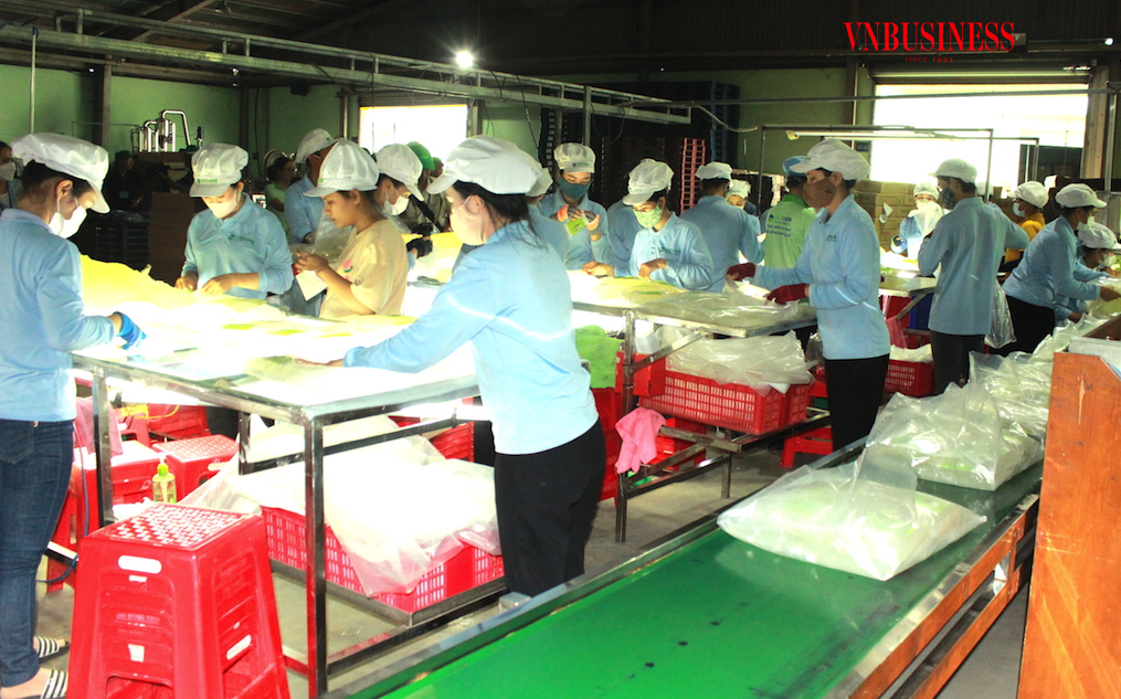 Những biến động kéo dài trên toàn cầu đang thách thức khả năng phục hồi cho các DN Việt trong các tháng cuối năm nay.