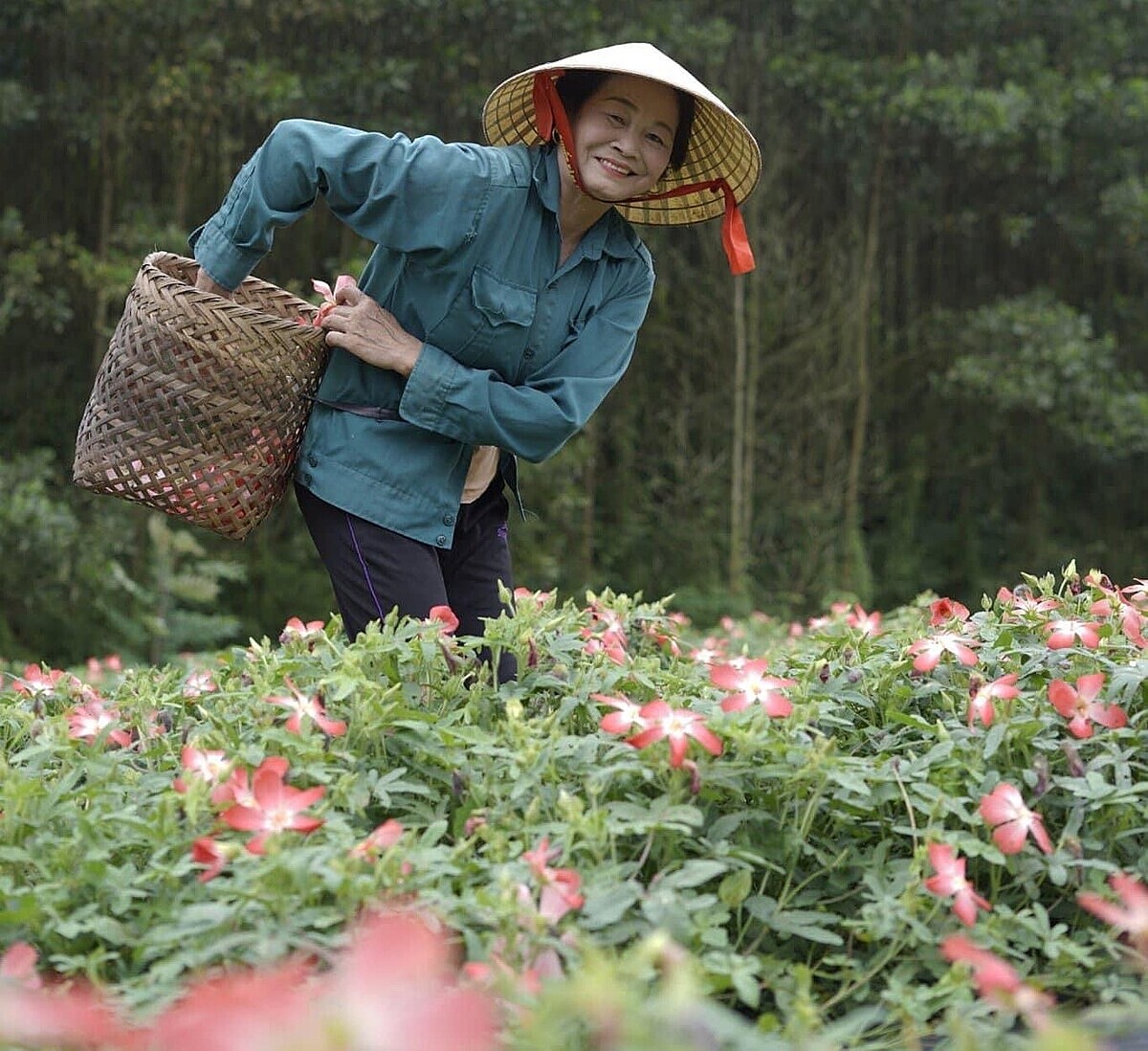 Nhiều phụ nữ đang lựa chọn mô hình HTX để khởi nghiệp, nâng cao thu nhập.