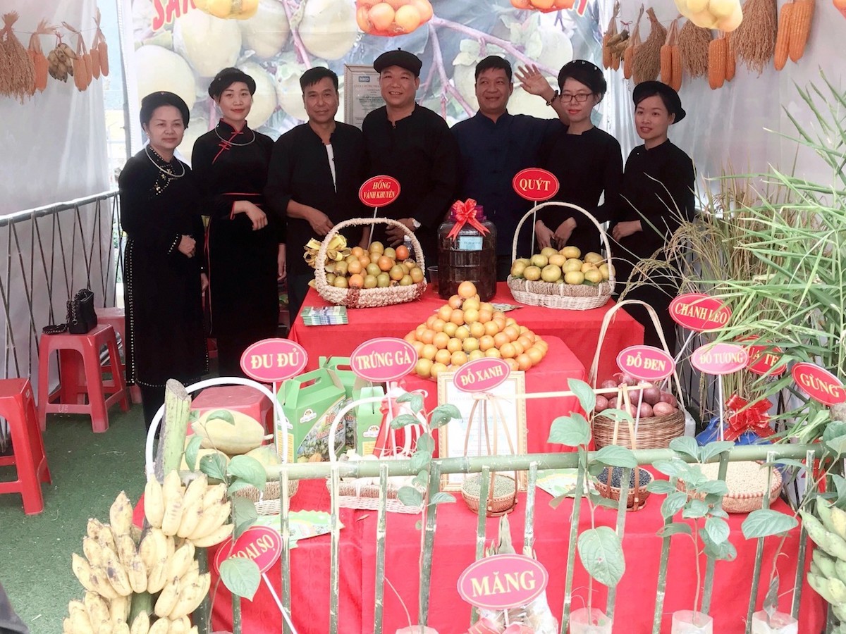 Bà con nông dân Nà Mò có thu nhập ổn định nhờ liên kết phát triển theo mô hình HTX &lpar;Ảnh: NVCC&rpar;.