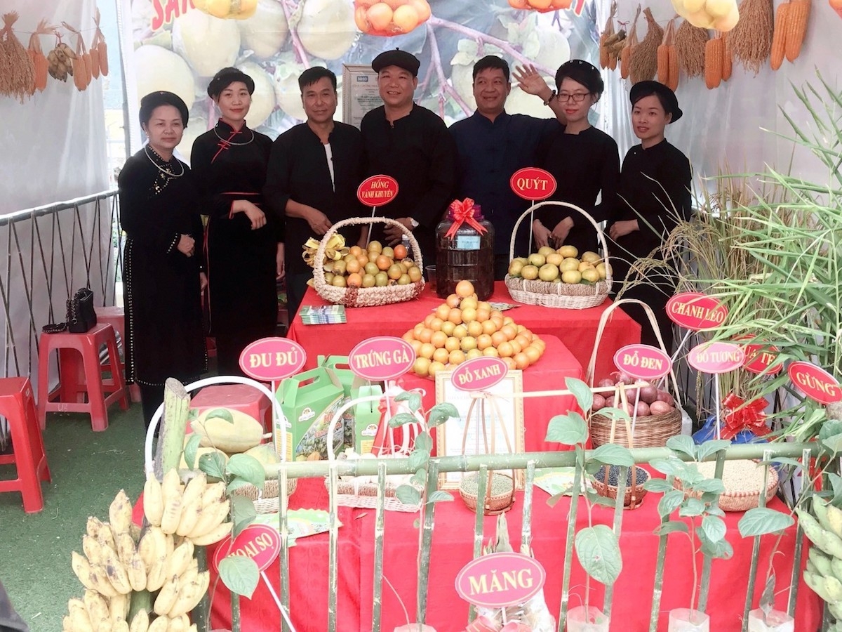 Bà con nông dân Nà Mò có thu nhập ổn định nhờ liên kết phát triển theo mô hình HTX &lpar;Ảnh: NVCC&rpar;.