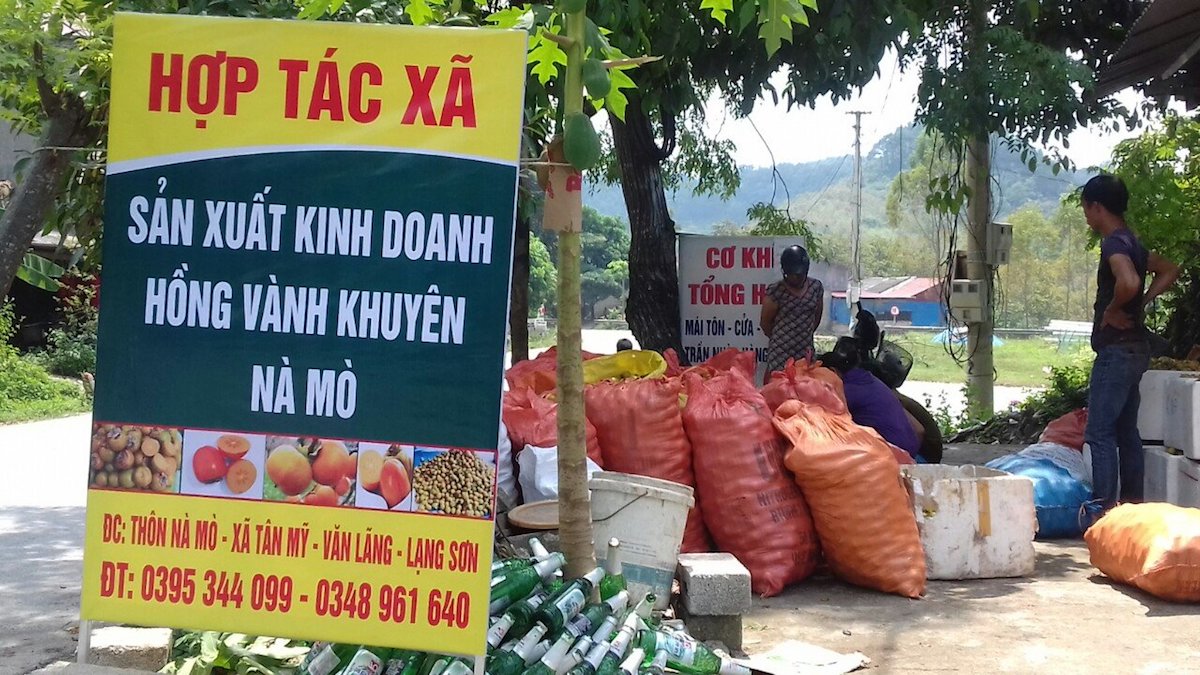 HTX sản xuất kinh doanh Hồng Vành Khuyên Nà Mò giúp bà con địa phương giải quyết bài toán đầu ra &lpar;Ảnh: NVCC&rpar;.