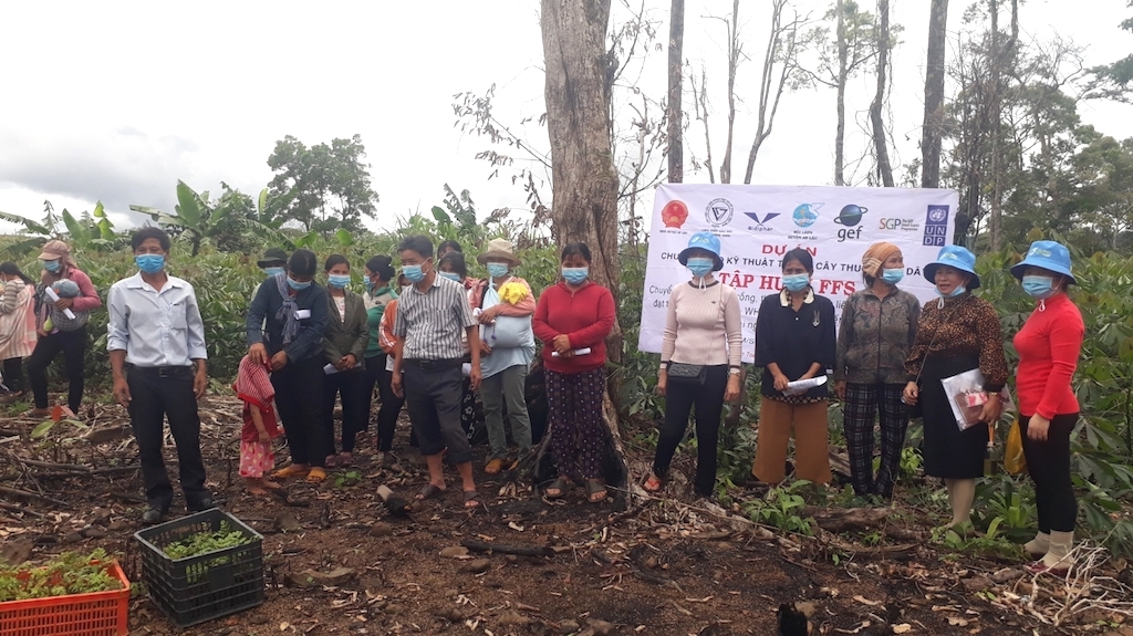 Bà con dân tộc thiểu số Bana ở huyện miền núi An Lão cùng HTX tham gia tập huấn trồng cây dược liệu.