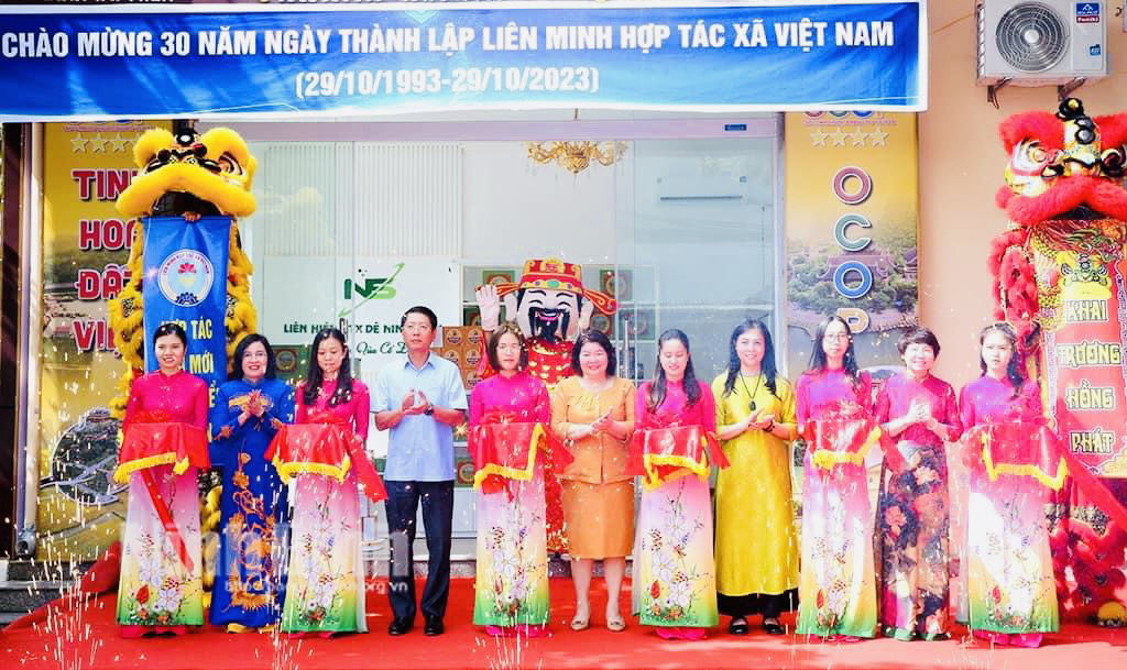Chủ tịch Liên minh HTX Việt Nam Cao Xuân Thu Vân