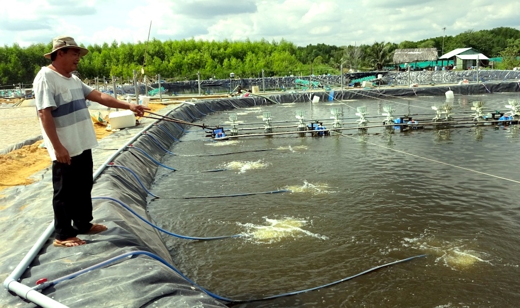 Người dân xã Phước An “ăn nên làm ra” cùng các HTX nuôi trồng và chế biến thủy sản.