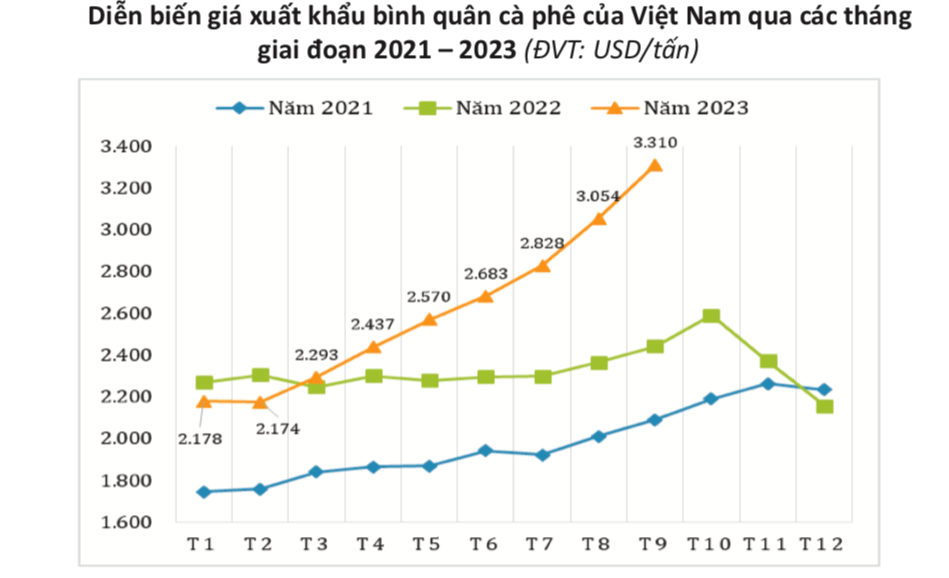 Giá cà phê tăng mạnh từ đầu năm tới nay.