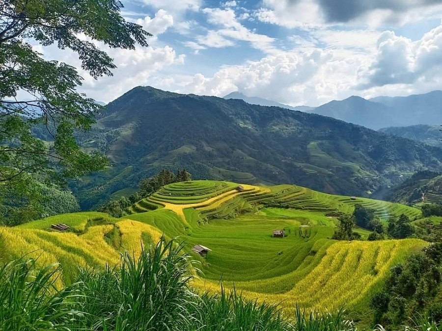 Diện tích nhóm đất nông nghiệp của cả nước năm 2022 là 28.002.574 ha