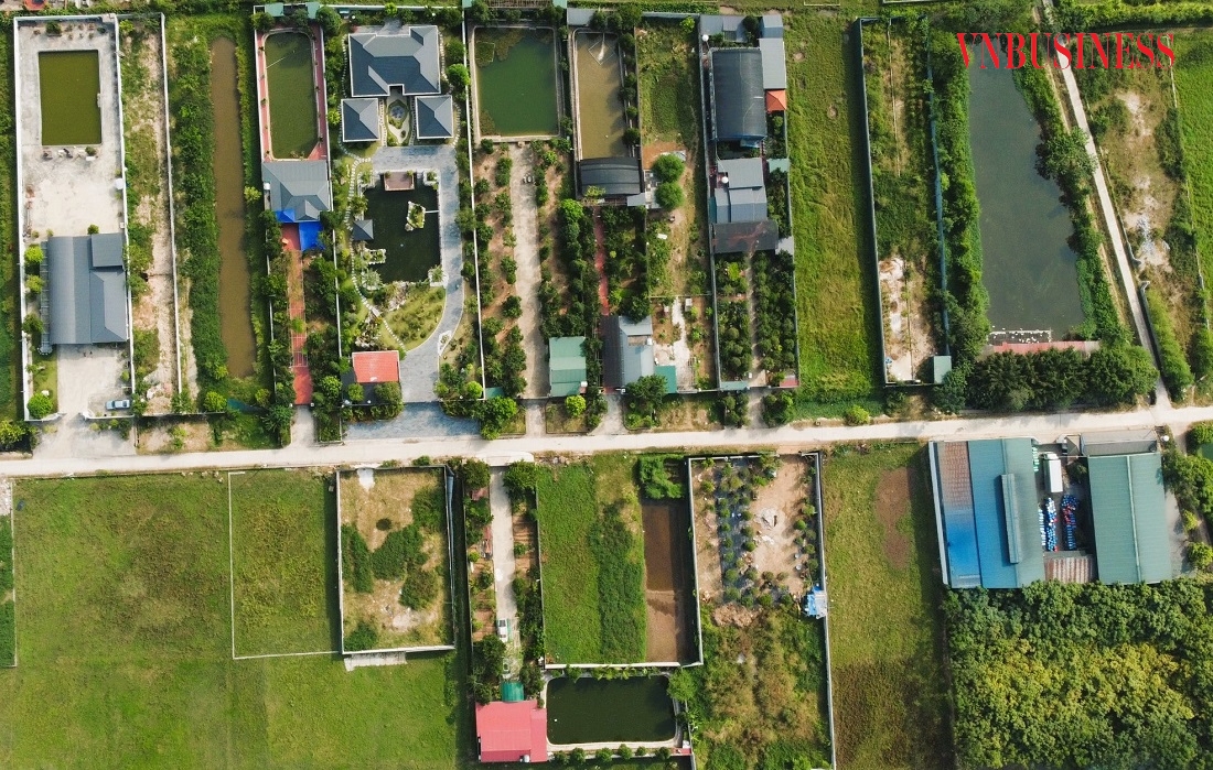 Việc quy hoạch khu biệt thự này cũng thể hiện sự đẳng cấp, tầm nhìn lâu dài, khi mà diện tích mỗi lô biệt thự đều rộng đến cả nghìn m2, mặt tiền rộng và chiều sâu thửa đất rất dài, các kiến trúc sư thoải mái thể hiện khả năng thiết kế, quy hoạch nội bộ nhà vườn.