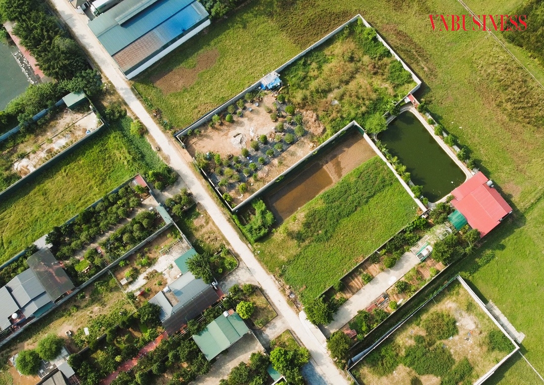 Ngoài những căn biệt thự đã được xây dựng ở trên, hiện nay trong khu vực này còn rất nhiều ô đất trống đã được cắm mốc, xây tường bao để phân lô riêng biệt.