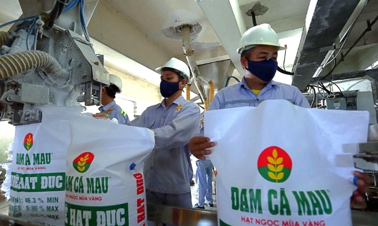 Cổ phiếu phân bón đặt nhiều kỳ vọng vào quý IV