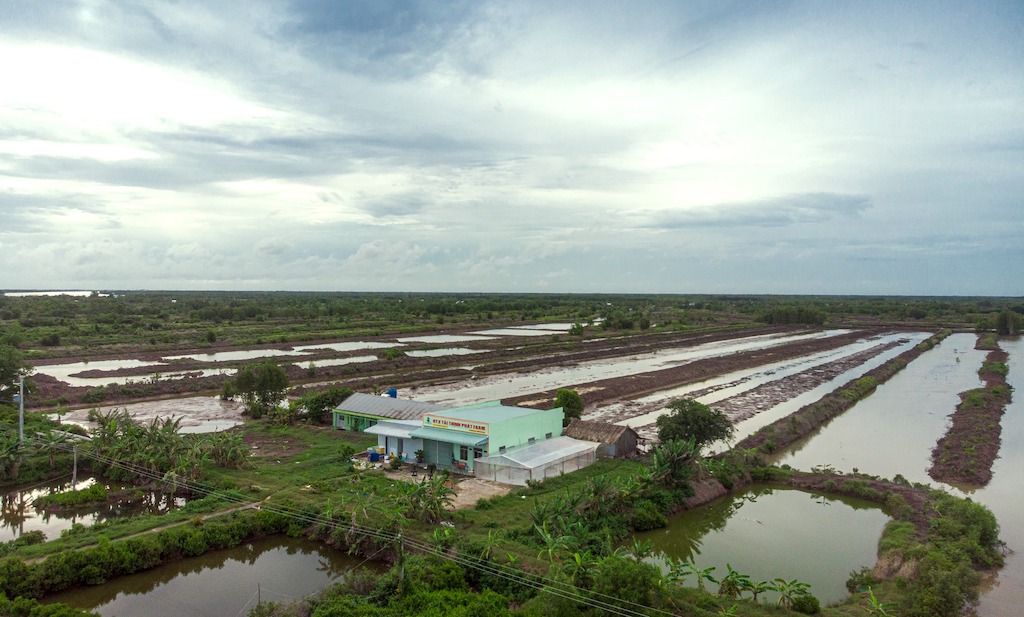 Xã Tam Giang đang là “điểm sáng” trong hoạt động kinh tế hợp tác ở huyện Năm Căn nhờ vào việc nâng cao giá trị sản vật bản địa.
