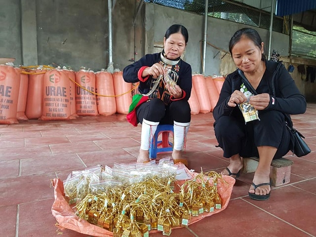 Nhiều HTX đang chuyển dịch theo hướng đa dạng hóa các ngành nghề, dịch vụ, liên kết với các doanh nghiệp để bao tiêu sản phẩm.