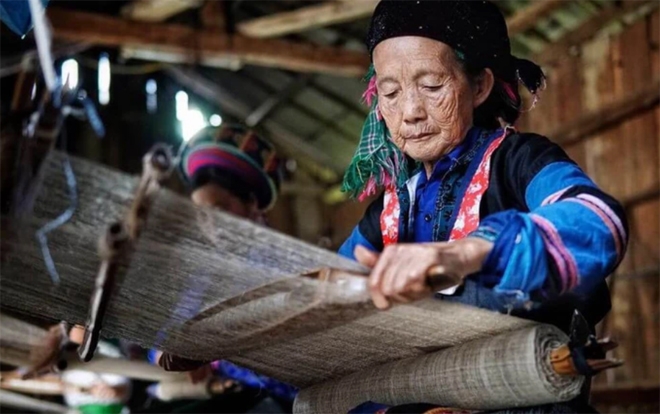 HTX đang thu hút thành viên, người lao động ở đa dạng độ tuổi.