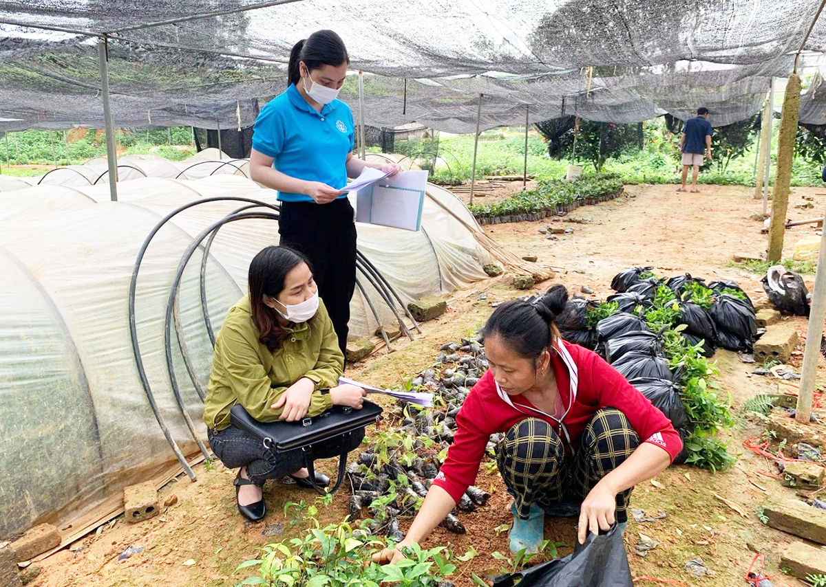 BHXH tự nguyện được ví như tấm khiên bảo vệ người lao động tự do khi về già.