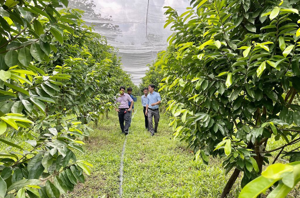 Từ việc đẩy mạnh tái cơ cấu nông nghiệp, tạo sự chuyển biến ở khu vực kinh tế hợp tác đã góp phần giúp cho huyện Tân Châu giảm nhanh tỷ lệ hộ nghèo.