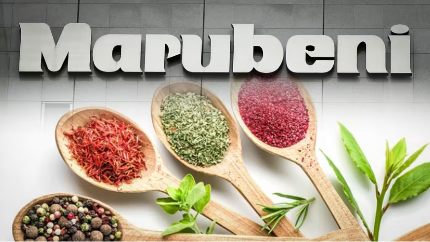 Tập đoàn Marubeni Nhật Bản đầu tư vào công ty thực phẩm AIG Việt Nam.